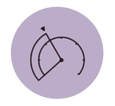 Geofenced Speed control icon